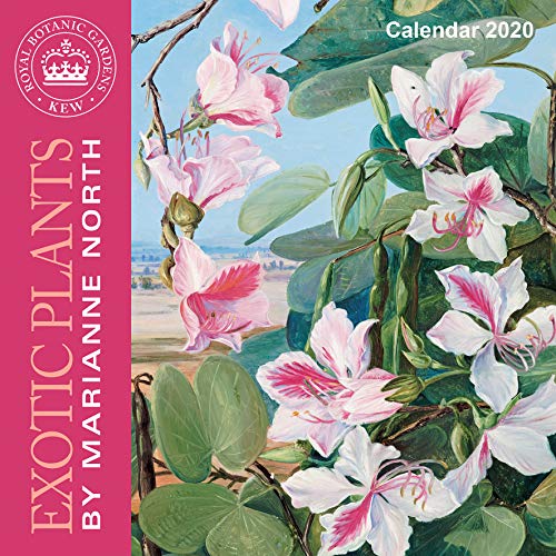 Kew Gardens - Exotic Plants by Marianne North - Mini Wall Calendar 2020 by