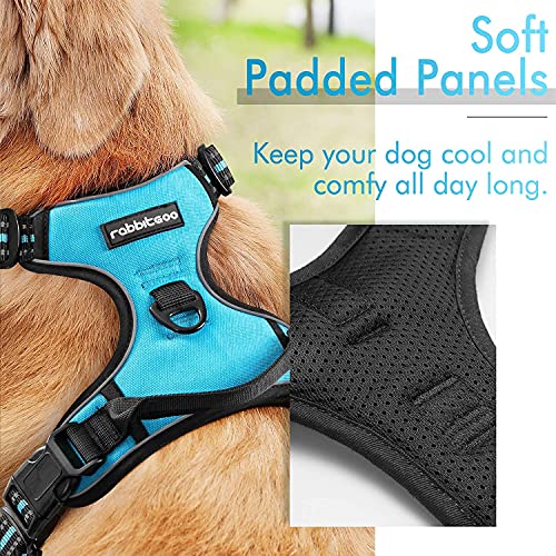 rabbitgoo Dog Harness, NoPull Pet Harness with 2 Leash Clips