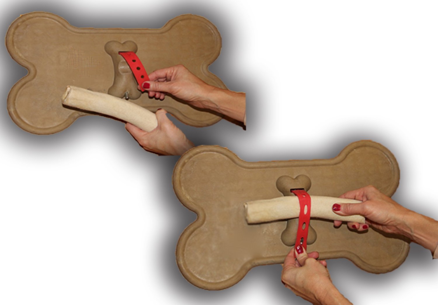 Bone Mat Dog Bone Holder Buy Online in UAE. Pet Supplies Products