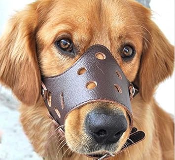 Futaba Leather Adjustable AntiBite Mesh Guard (Brown, Large)