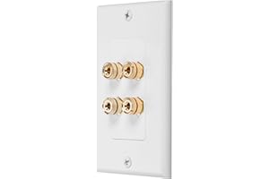 KUIOPYY 4 Posts Speaker Wall Plate Home Theater Wall Plate Audio Panel for 2 Speakers