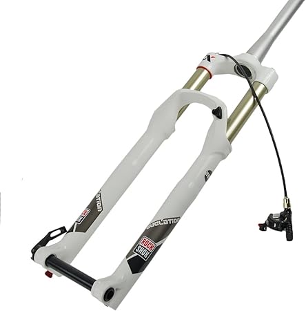 Amazon.com : RockShox Revelation XX - Dual Air 140mm 29-Inch (White) : Bike Forks : Sports 