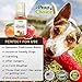 Paw Choice Dry Shampoo for Dogs - Waterless No-Rinse Foam for Odor Removal, Cleaning, Conditioning - Hypoallergenic, Natural - Safe for Sensitive Skin - Made in USA - Mango Pomegranate Scent