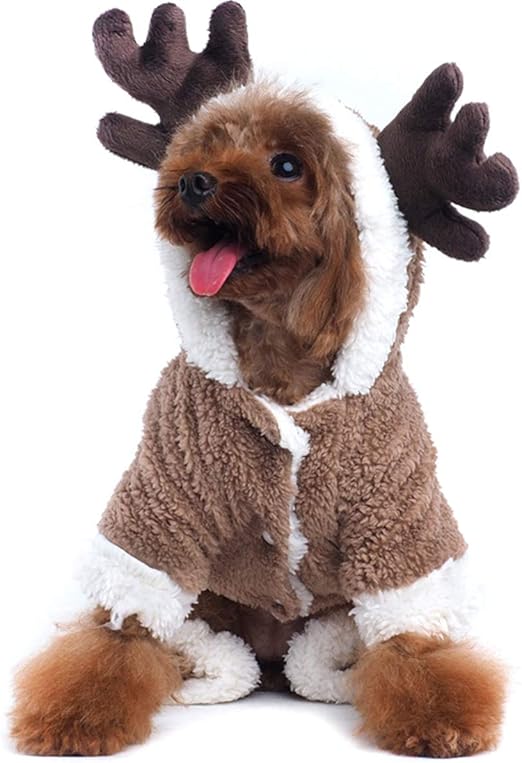 dog dressed as reindeer