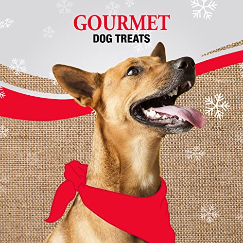 Good 'n' Fun Holiday Chews, Treat Your Dog to Fun Shaped Long Lasting