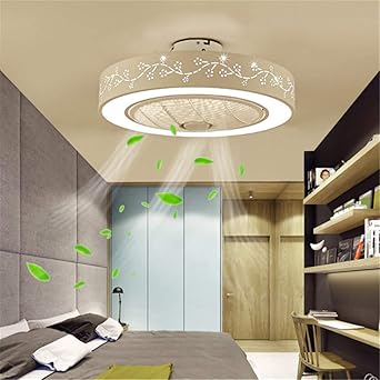 Lfeina Fan Ceiling Fan Modern Creative With Remote Control Quiet