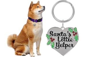 Madison Tyler Cute Dog Tag | Halloween Puppy Necklace Pendant for Jewelry Charms | Holiday Halloween Dog Charms | Dog Collar Charms | Pet Dog Lick or Treat Bat Lollipop