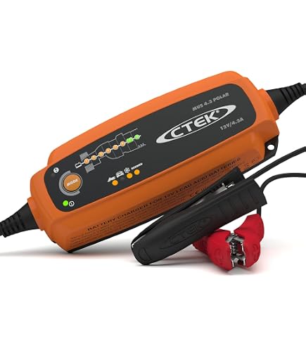 Amazon.com: CTEK D250SE, 20A, 12V Battery Charger For Starter And