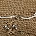 LOLIAS Hawaiian Seashell Necklace for Men Women Chip Chain Necklace Screw Clasp 18 Inches