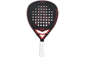 LITIAN Padel Racket with Carbon Fiber Surface & EVA Memory Foam Core – Lightweight, Well-Balanced Padel for Beginners and Intermediate Players – Includes Carry Bag