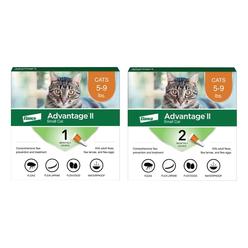 Flea Prevention Advantage Flea Treatment For Cats Advantage II - Main Image