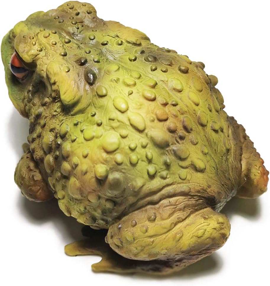Muse Design Frog Toad Sculptures Garden Statues Yard Art Resin Decorations Outdoor Garden Décor : Garden & Outdoor