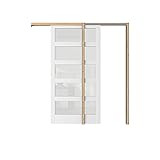 SOLRIG Sliding Pocket Door 30" x 80", 5 Lites