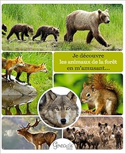 Amazon Fr Je Decouvre Les Animaux De La Foret En M Amusant Pompei Christine Livres