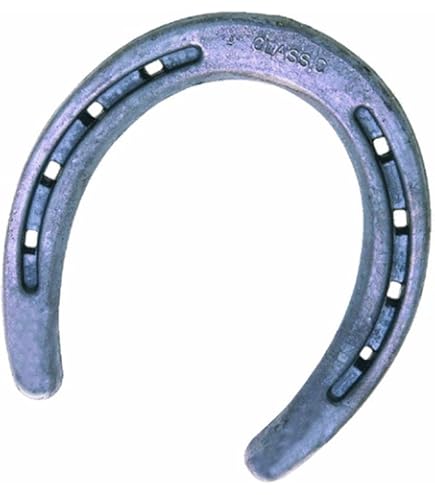 Amazon.com: Kerckhaert SX7 Steel Horseshoes Unclipped (Pair