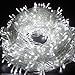 FULLBELL Christmas Lights, Fairy Lights Outdoor 66Ft 200 LED with Memory Modes Controller, Plug in Easter Decor Lights for Bedroom Party Wedding Garden Christmas Tree Indoor Outdoor Decorations