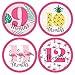 Pink Flamingo - Party Like a Pineapple - Tropical Summer Monthly Baby Sticker Set - Baby Shower Gift Ideas - 12 Piece
