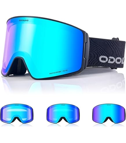 Amazon.com : Dragon Alliance PXV Asian fit Snow Goggle (Echo