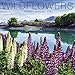 Wildflowers 2018 Calendar