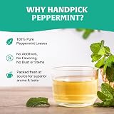HANDPICK Peppermint Tea Bags 100 Count Non-GMO 100% Pure Minty Herbal view 3