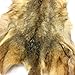 Springfield Leather Company Coyote Fur Hides (#2)