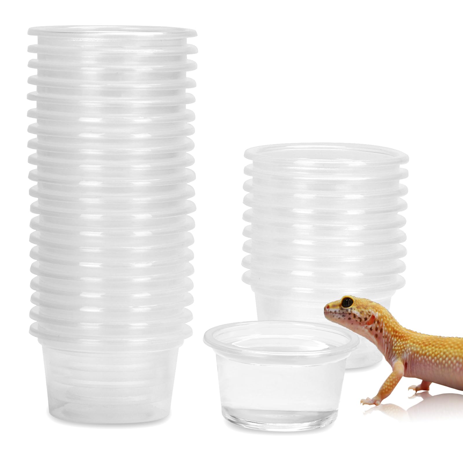 DERNORD Gecko Feeding Ledge Plastic Bowl - 5x3CM 30PCS Reptile Water Dish Suction Bowl Bearded Dragon Leopard Crested Gecko Accessories for Vivarium