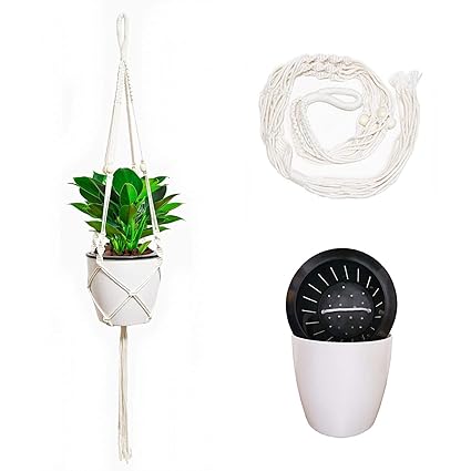 Amangoes Self-Watering Hanging Planters 6.7