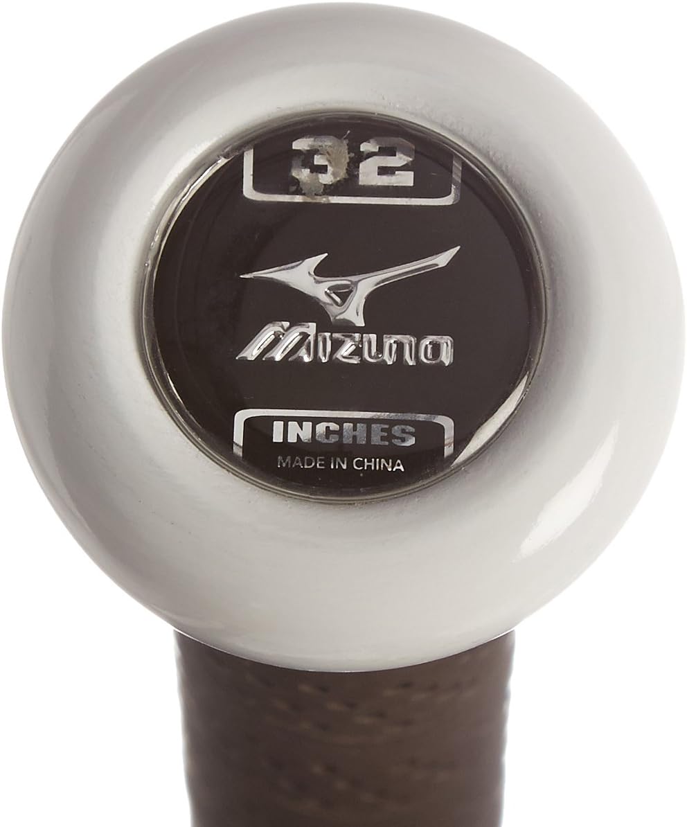 mizuno generation bat