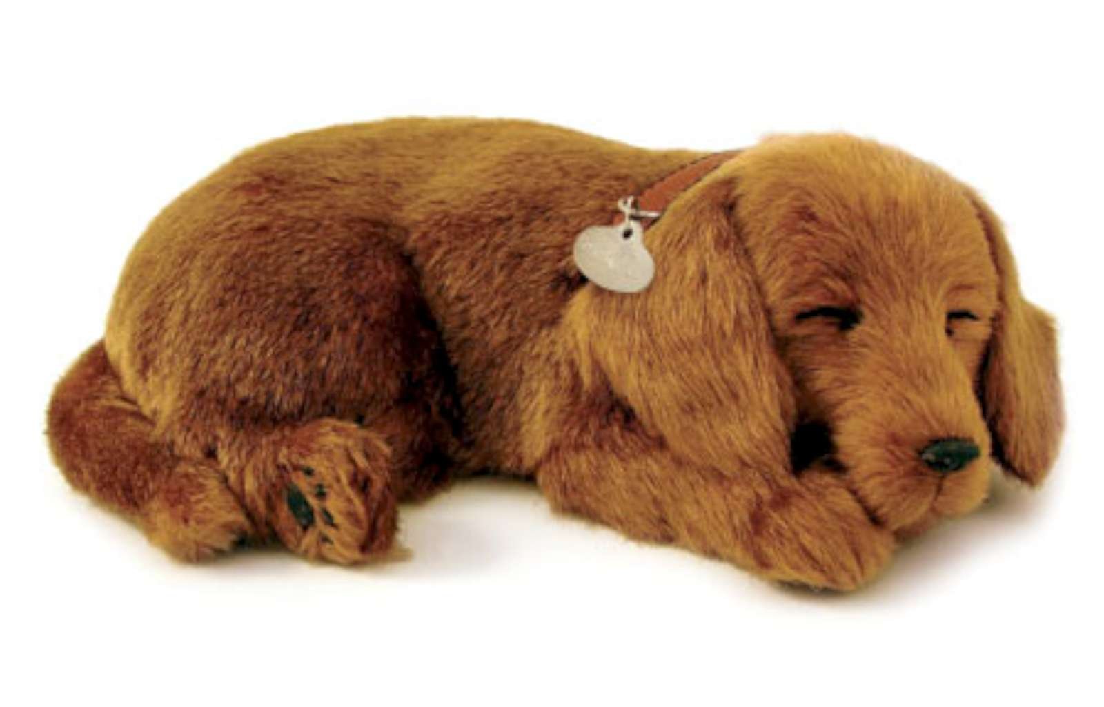 Perfect Petzzz Dachshund
