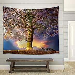 Tree in The Park - Fabric Wall Tapestry Home Decor - 51x60 inches