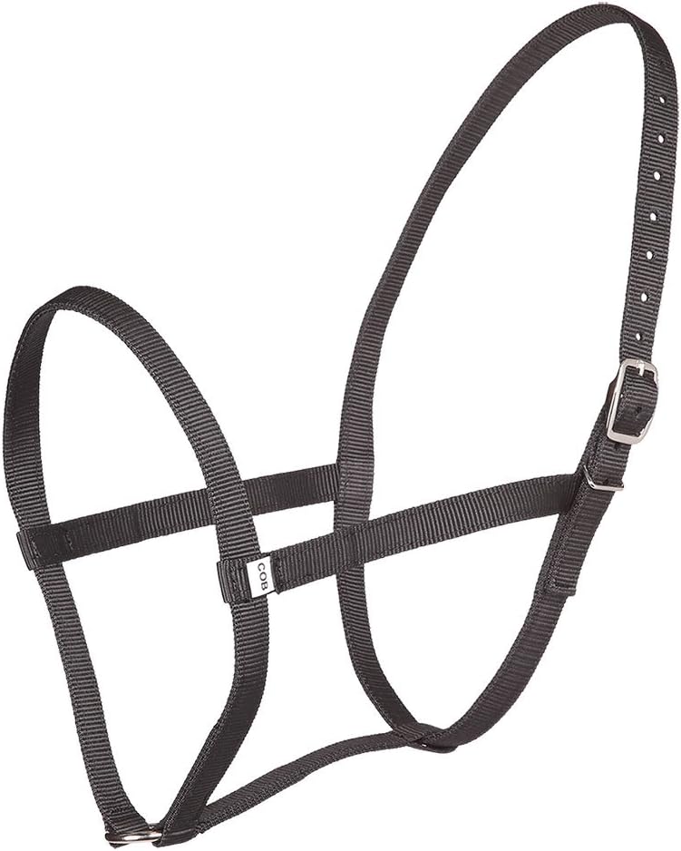 Zilco Webbing Driving Harness Underhalter Under Halter Pony