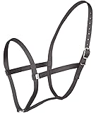 Zilco Webbing Driving Harness Underhalter Under Halter Pony