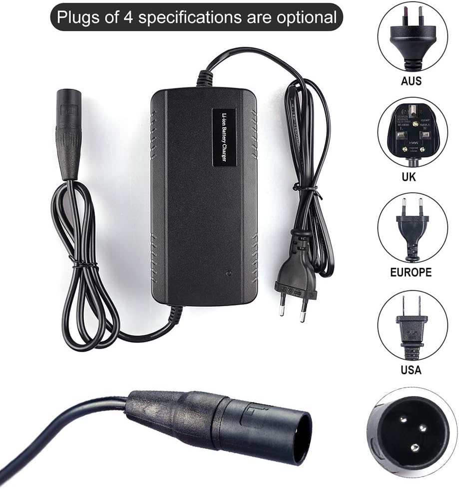 Greenergia eletric Bike Battery Charger Lithium Battery Charger 36V/48V Battery Charger for ebike with Microphone Plug DC Plug
