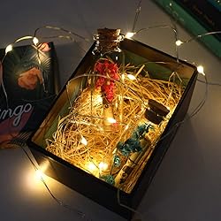 Danmu 30ml 1.18" x 2.75" Potion Bottles,Mini Glass
