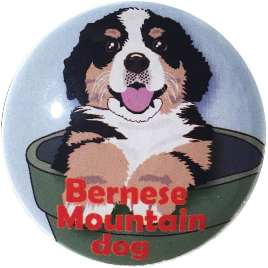 Amazon Co Jp マグネット バーニーズマウンテン Bl 犬 マグネット マグネットクリップ Dog Magnet ホーム キッチン Amazon Co Jp マグネット バーニーズマウンテン Bl 犬 マグネット マグネットクリップ Dog Magnet ホーム キッチン
