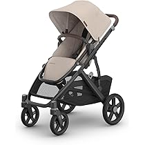 UPPAbaby Mesa V3 Infant Car Seat - Easy Installation + SmartSecure Technology - Attaches to Stroller | Base + Infant Insert Included