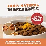 Pets Purest 100% Natural Turmeric for Dogs Cats & Pets 60 Capsules 10000mg view 8