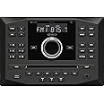 Jensen JWM62A AM|FM|DVD|CD|USB|AUX|App Ready Bluetooth Wallmount Stereo with App Control, Plays: CD, CD-R, CD-RW, DVD, MP3, DVD-Video, MPEG-4, VCD, JPEG, CD-DA, MP3, WMA, Dolby Black 8.5" x 8.5"