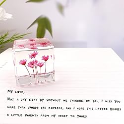 Bon Cube Desk Accessory Acrylic Resin Cube