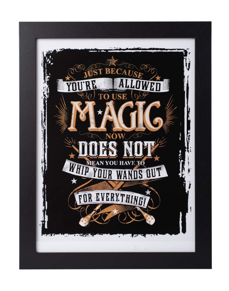 Cuadros harry potter
