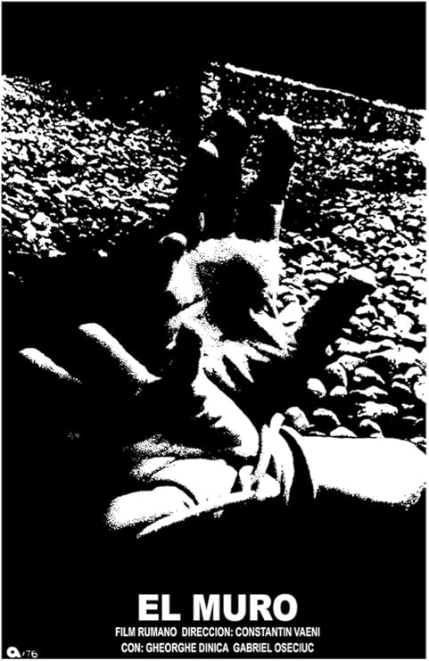 Amazon Com 20x30 Movie Poster Reproduction Romanian Film By Constantin Vaeni The Wall El Muro Gheorghe Dinica Gabriel Oseciuc 6869 Posters Prints