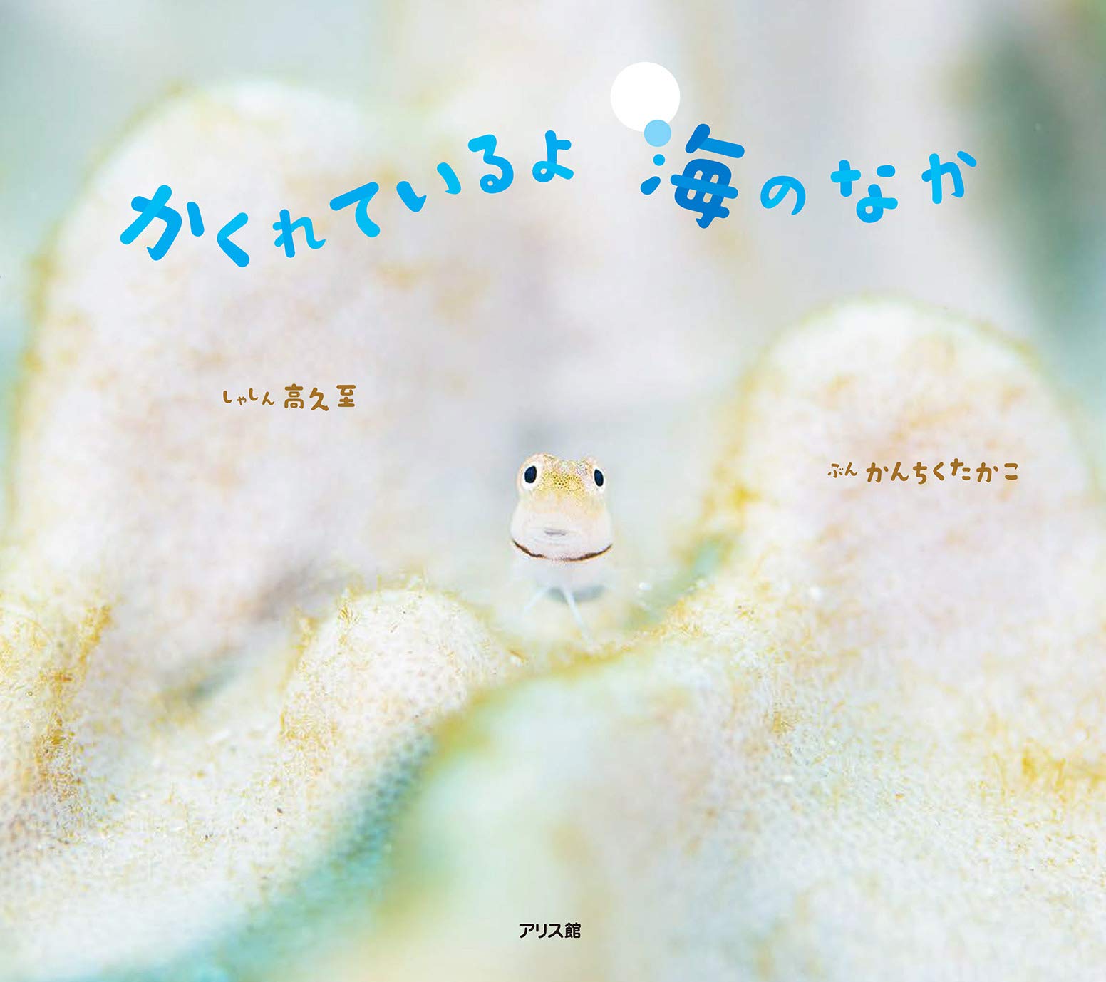 かくれているよ海のなか 高久 至 かんちく たかこ 本 通販 Amazon