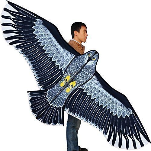 Hengda KiteStrong Eagles!Huge beginner eagle kites for Kids and Adults