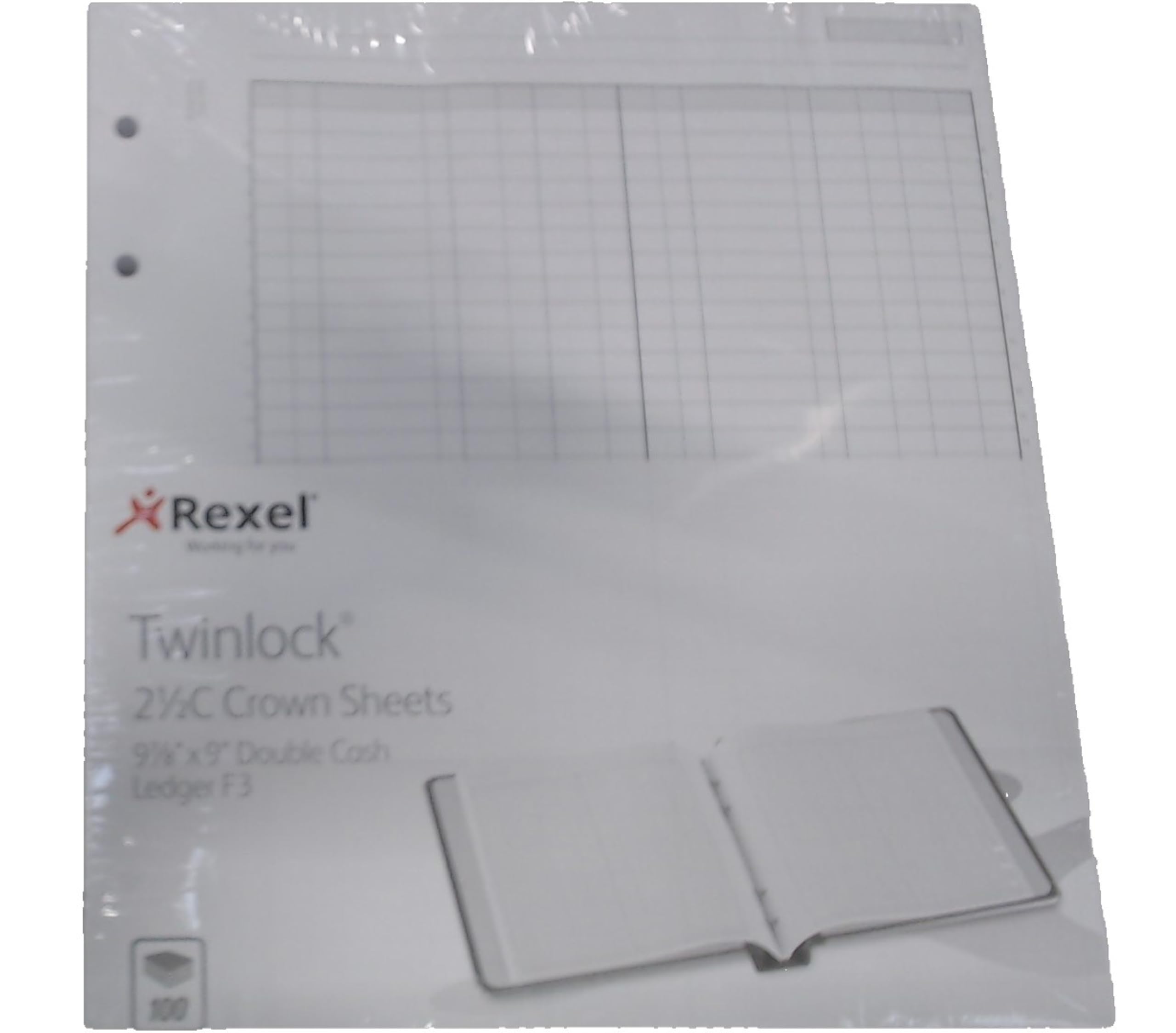 Rexel Twinlock Crown 2 ½ C Refill Sheets Double Cash Ledger (Pack of 100 Sheets)