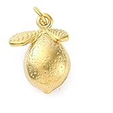 KitBeads 5Pcs 18K Gold Plated Lemon Charms Stainless Steel Summer Fruit Charms for Bracelets Necklaces Earrings Jewelry Making Crafts Bulk
