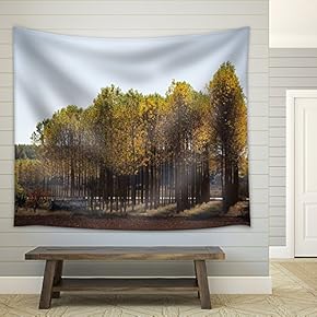 Rows of Trees in Autumn - Fabric Wall Tapestry Home Decor - 51x60 inches