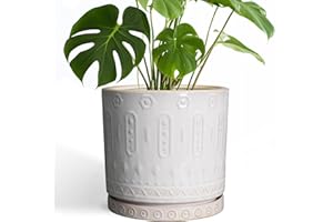 Eightpot Ceramic Planter Pot - 10 Inch Plant Pot for Indoor Outdoor Plants Round Large Flower Pot with Drainage Holes and Saucer for Home Garden Patio Decor White