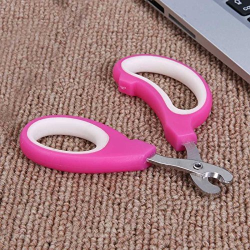 Pet Nail Clipper Scissors Pet Dog Cat Nail Toe Claw Clippers Scissors Trimmer Grooming Tools for Animals Pet Supplies