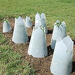 Grow It Now! - Plant Protectors/Frost Guards with Closable Vent, Pack of 3 (Anchor pins not included) (Large)