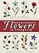 Shakespeare's Flowers in Stumpwork (Milner Craft Series) by